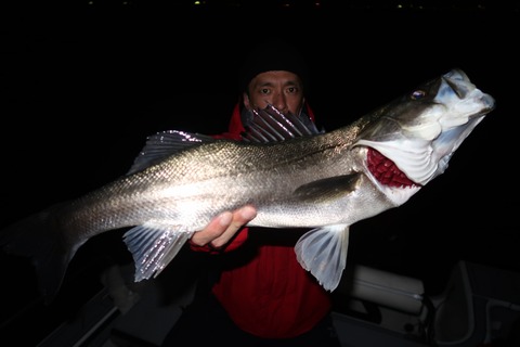 20200501233920_IMG_8647