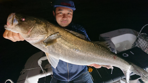 sketch-1542038793137