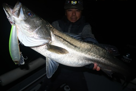 20221118181417_IMG_3374