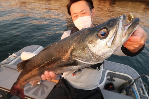 20200502054152_IMG_8676