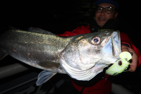 20221217180629_IMG_4179