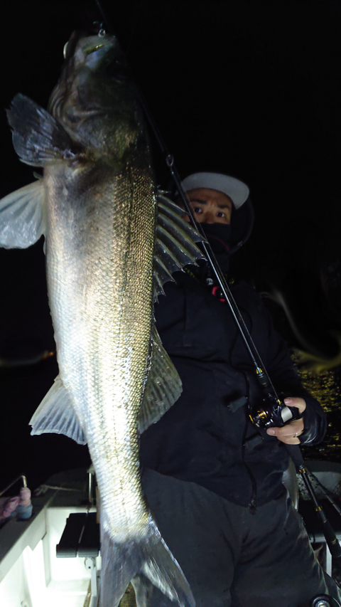 sketch-1548188384574