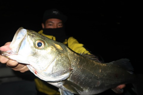 20201011204807_IMG_0513