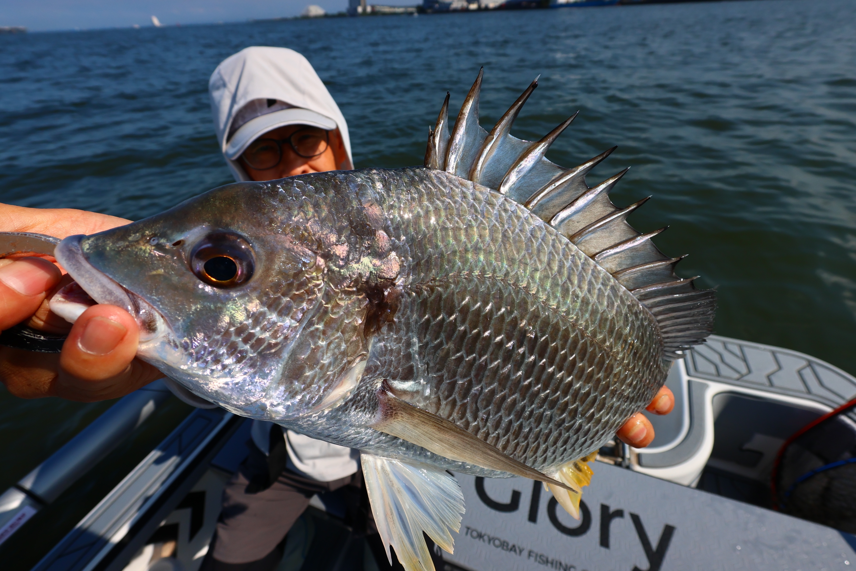 6月21日釣果情報！！ : TOKYOBAY FISHING GUIDE SERVICE Glory