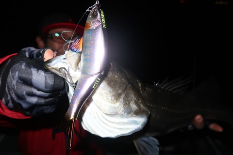 20240117202038_IMG_9702