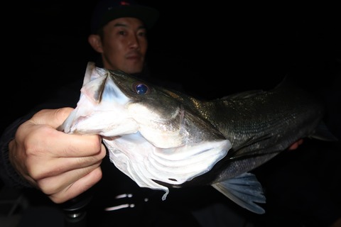 20201001004055_IMG_0328