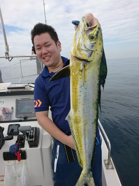 [画像:b44c43c9-s.jpg]