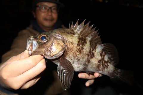 20200426004526_IMG_8574