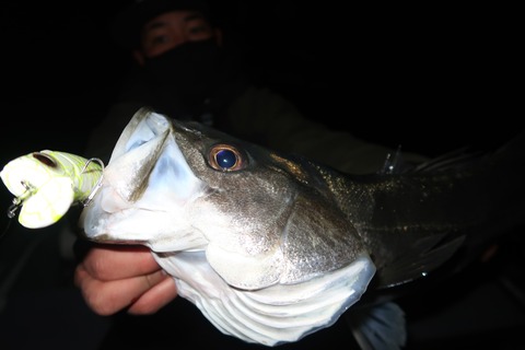 20221221010122_IMG_4242