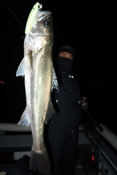 20221031211744_IMG_2875