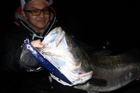 20200304203311_IMG_7877