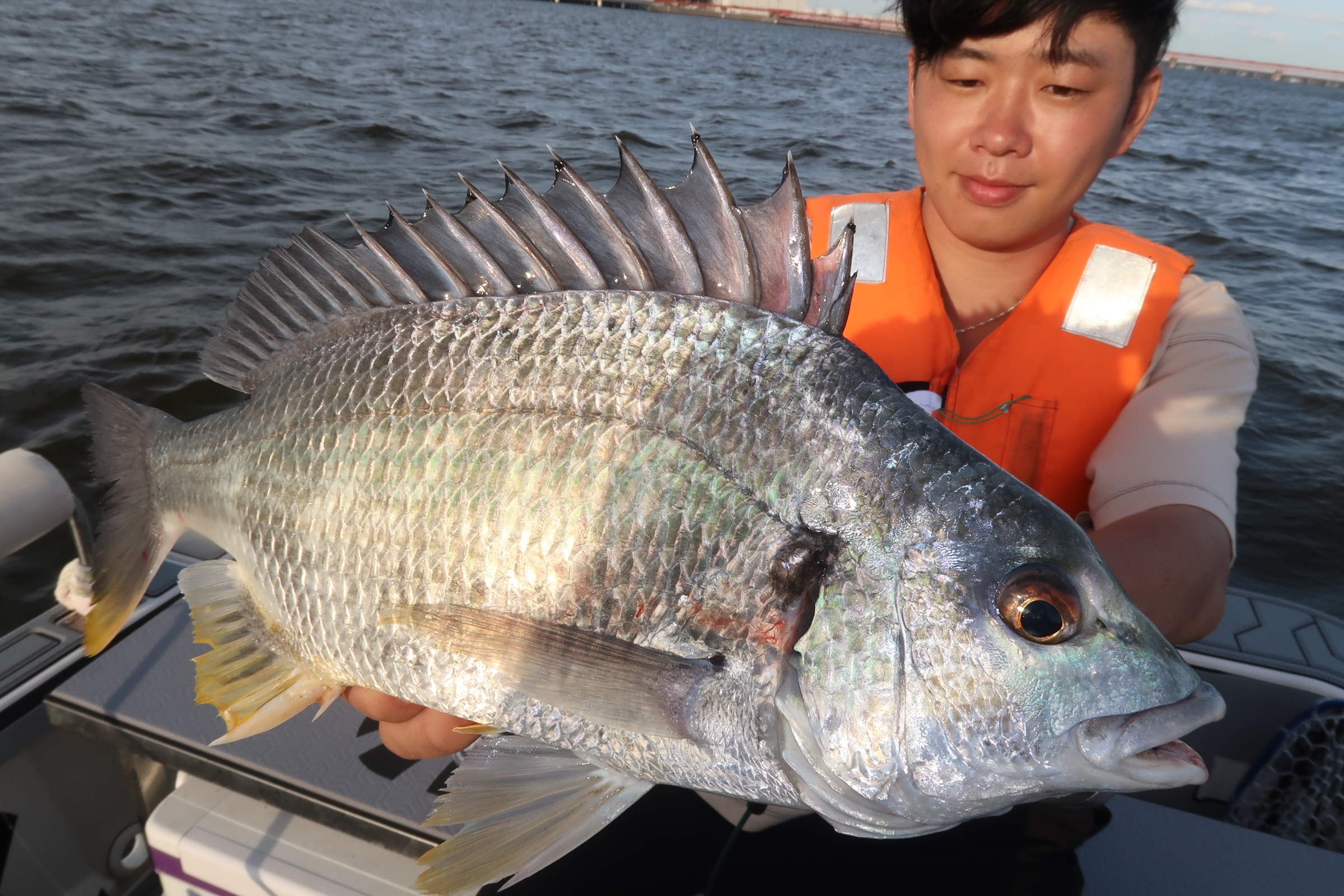 6月21日釣果情報！！ : TOKYOBAY FISHING GUIDE SERVICE Glory