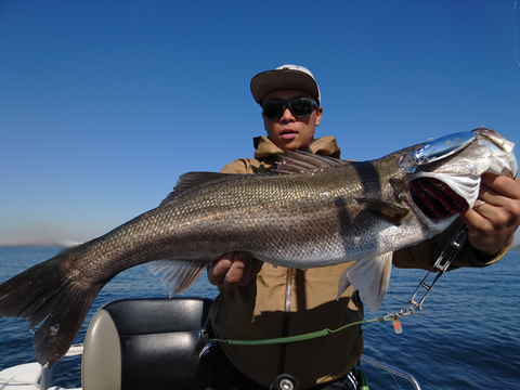 sketch-1540900676608