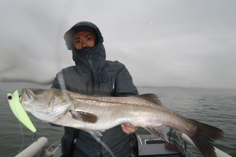 sketch-1602328487843