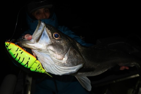 20220223013330_IMG_9769