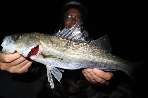 20200501223929_IMG_8635