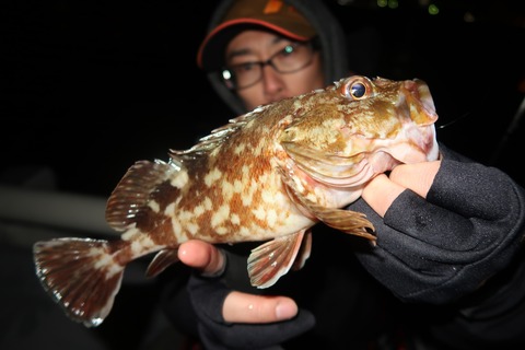 20200124214517_IMG_7214