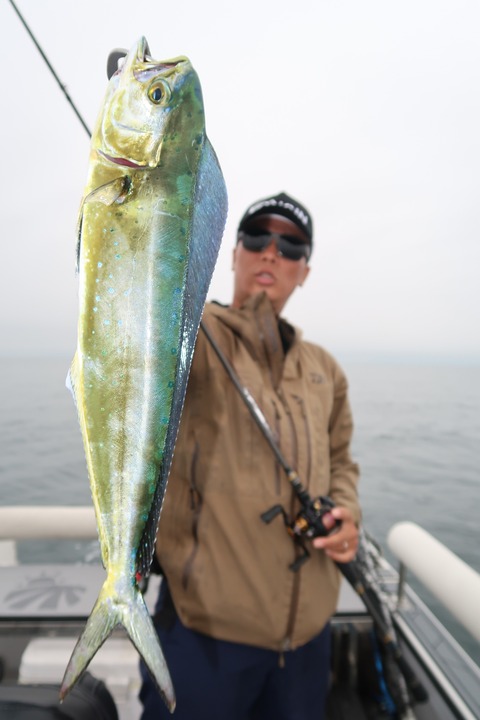 20200723084356_IMG_9570