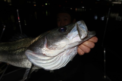 20200214010216_IMG_7516