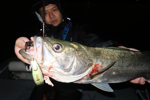 20201007211625_IMG_0470