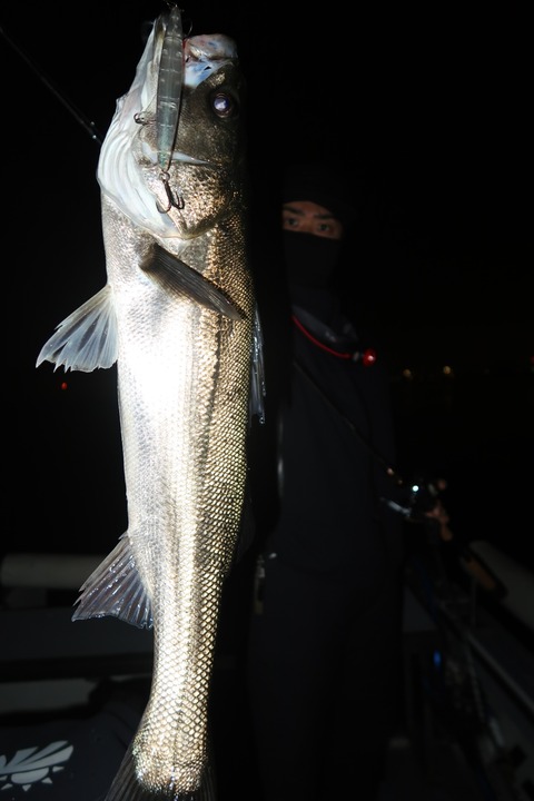 20240406201929_IMG_0860