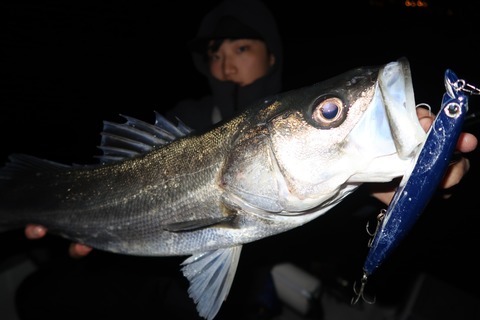 20200323001146_IMG_8074