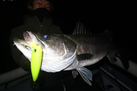 20231114230525_IMG_8516