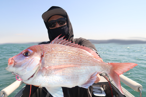 sketch-1648453337989