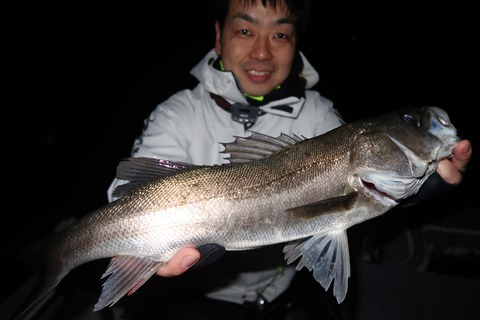 20200304194632_IMG_7865