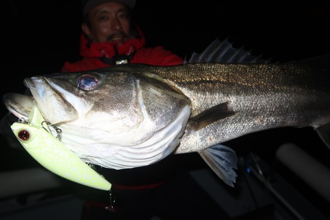 20231123190258_IMG_8676