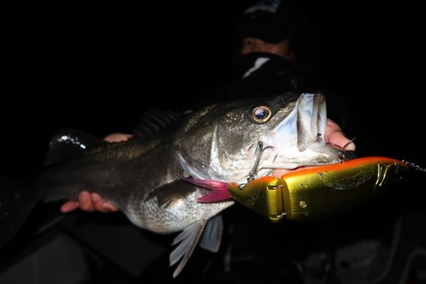 20200314025602_IMG_7961