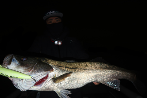 sketch-1699985981816