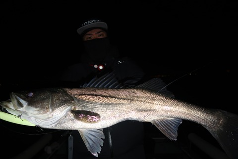 20240107001420_IMG_9550