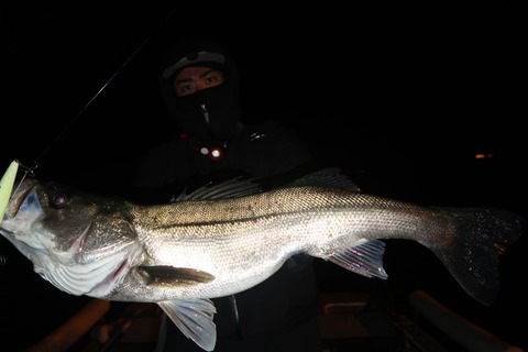 20231230192654_IMG_9480