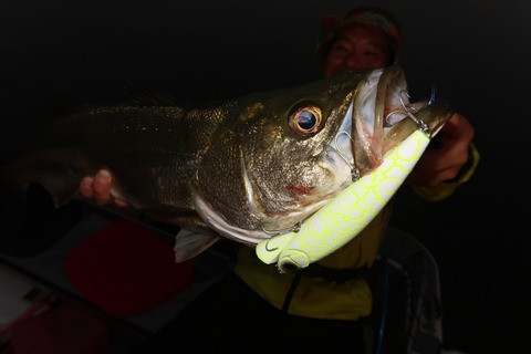 20201013054203_IMG_0524