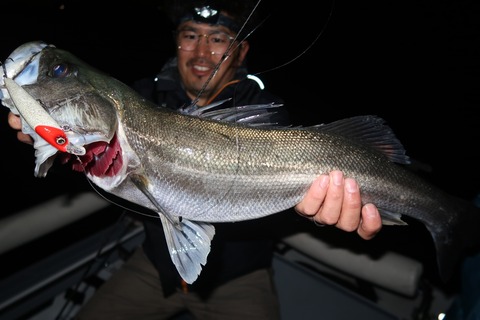 20240406205505_IMG_0868