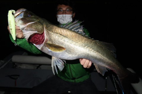 20201011195139_IMG_0508