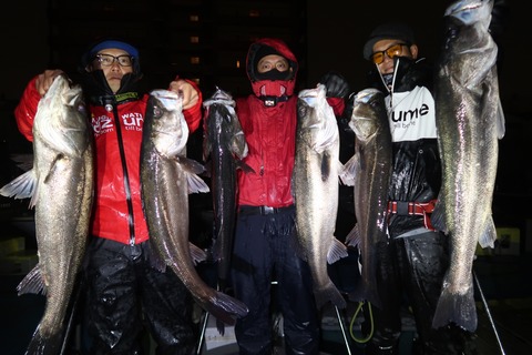 20221217222322_IMG_4199