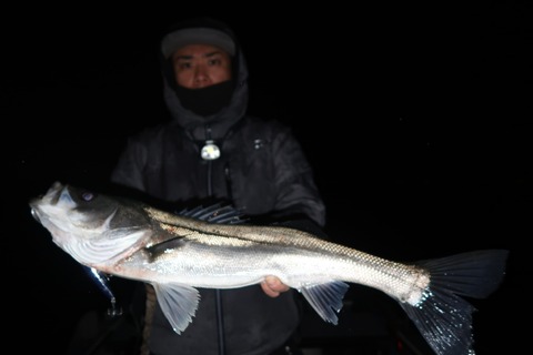 20200229212417_IMG_7815