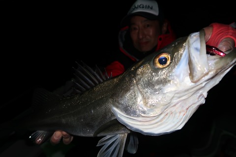 20200325190200_IMG_8125