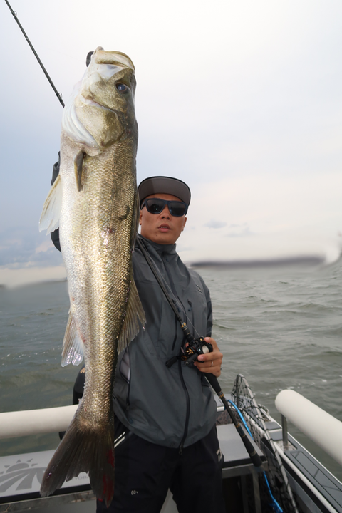 sketch-1602084667617