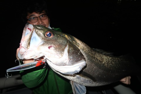 20201011210510_IMG_0519