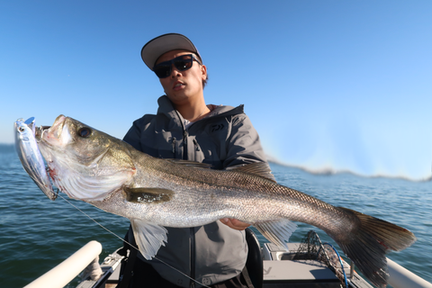 sketch-1603642502484