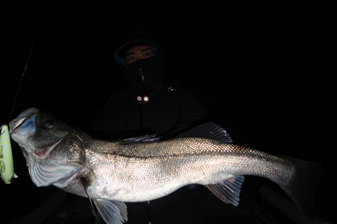 sketch-1671055092099