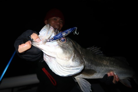 20200323002331_IMG_8077