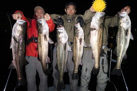 sketch-1603482212403