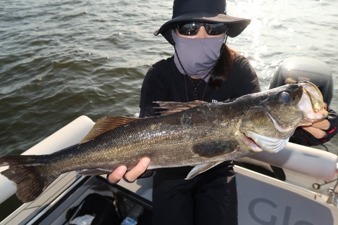 20200825072459_IMG_9957