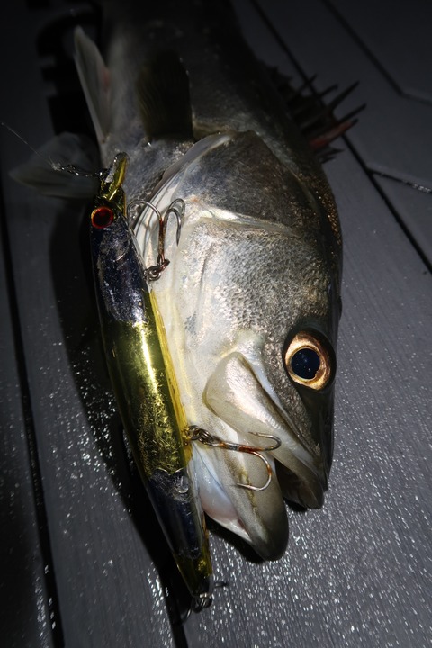 20200323210930_IMG_8092