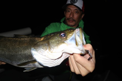 20200919225949_IMG_0178