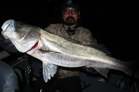 sketch-1764870512440